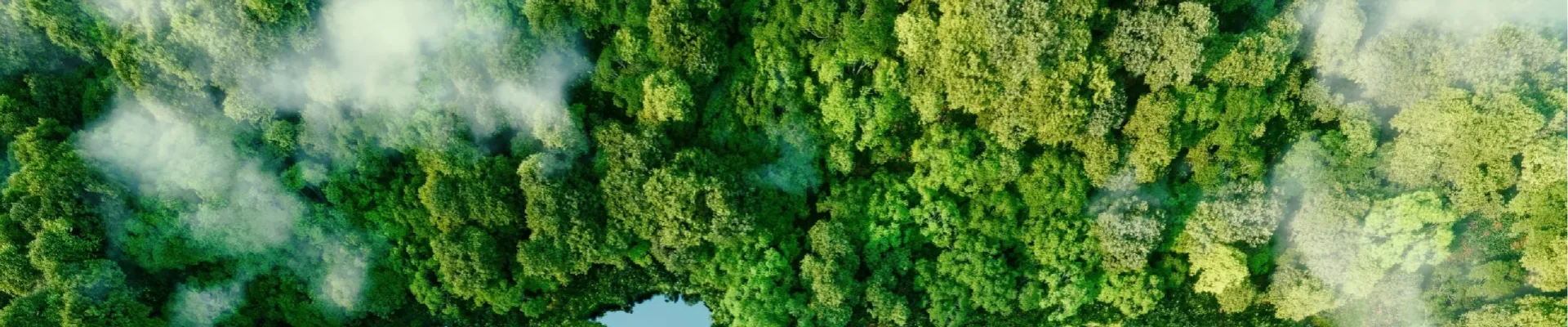 Teamforce-Leading Manufacturer of Professional-Grade BBQ and Kitchen Products