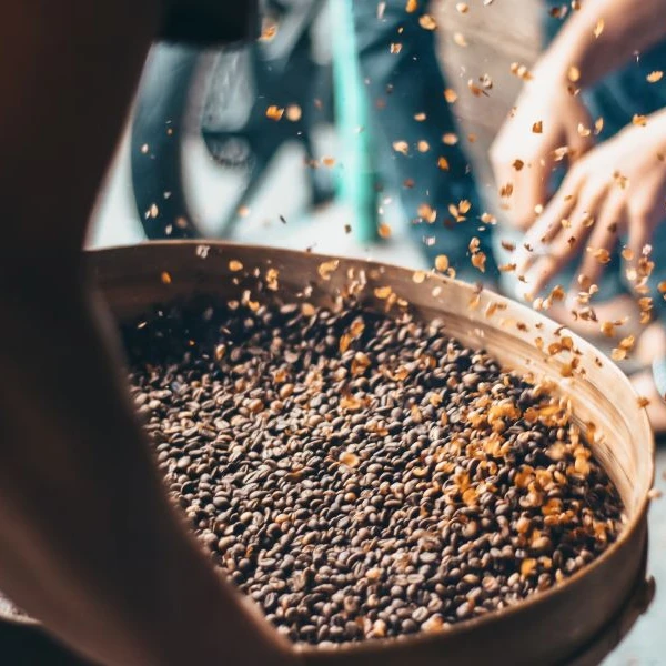 Coffee Grounds & Husk